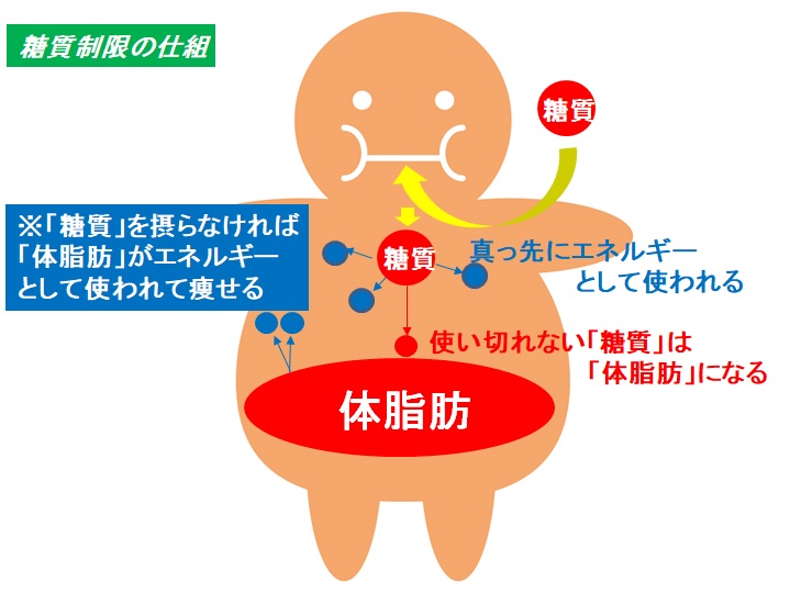 糖質制限の仕組